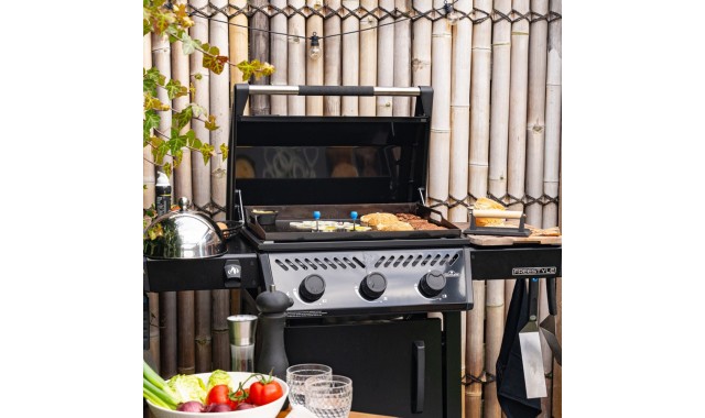 Freestyle 24 gas plancha Napoleon Freestyle 24 gas plancha Napoleon