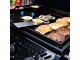 Freestyle 24 gas plancha Napoleon Freestyle 24 gas plancha Napoleon