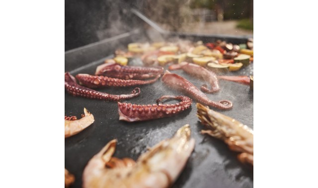 Plita plancha gaz Slate GPD 76 Weber Plita plancha gaz Slate GPD 76 Weber