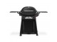 Gratar gaz Q3200N Weber Grills Gratar gaz Q3200N Weber Grills