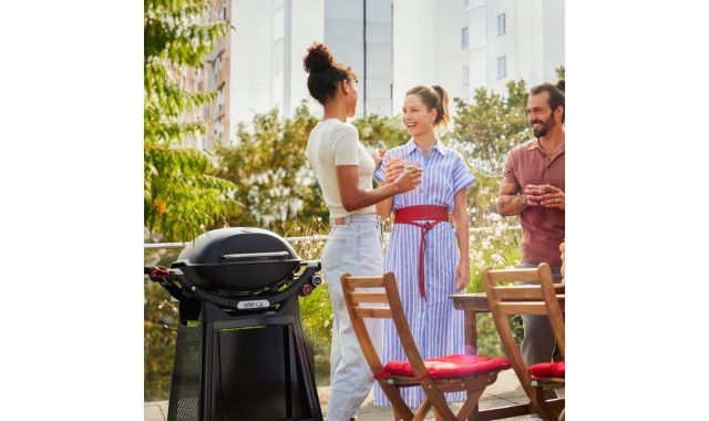 Gratar gaz Q3200N Weber Grills Gratar gaz Q3200N Weber Grills