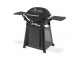 Gratar gaz Q3200N Weber Grills Gratar gaz Q3200N Weber Grills