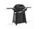 Gratar gaz Q3200N Weber Grills Gratar gaz Q3200N Weber Grills