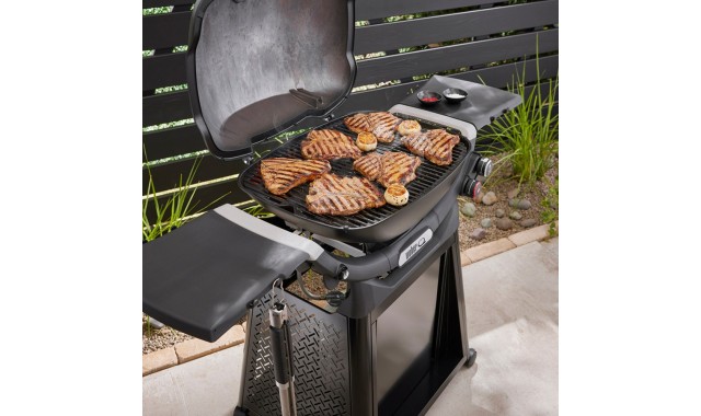 Gratar gaz Q3200N Weber Grills Gratar gaz Q3200N Weber Grills