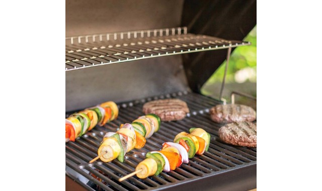 Char-Griller Wrangler charcoal grill