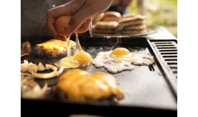 Weber Crafted Castiron griddle