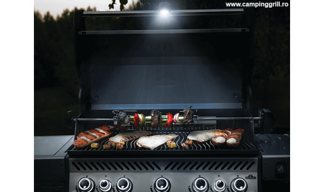 Grill light system