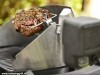 Rotisor grill Weber Q 3200