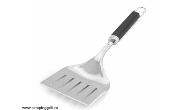 Spatula peste Weber