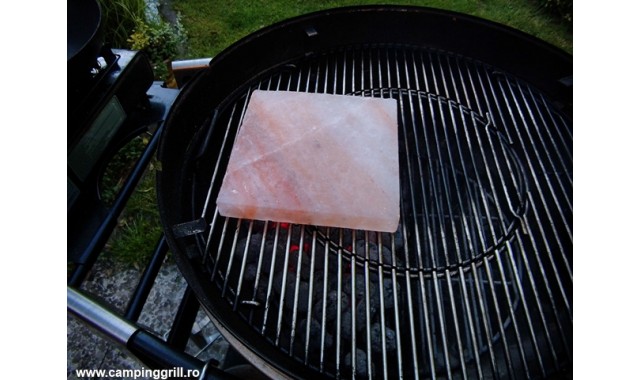 Barbecue salt plate