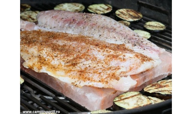 Barbecue salt plate