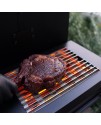 Statie frigere infrarosu SideBURN GMG Green Mountain Grills