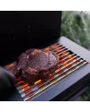 Infrared grilling station SideBURN GMG Green Mountain Grills