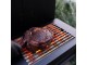 Infrared grilling station SideBURN GMG Green Mountain Grills