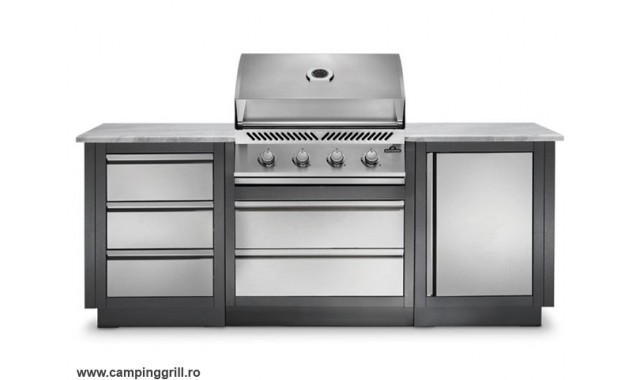 Outdoor Kitchen Napoleon BI32