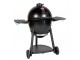 Akorn Kamado Char-Griller charcoal grill