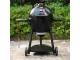 Akorn Kamado Char-Griller charcoal grill