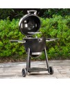 Gratar Akorn Kamado cu husa si deflector Char-Griller