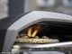 Special Offer Gas pizza oven Koda 12