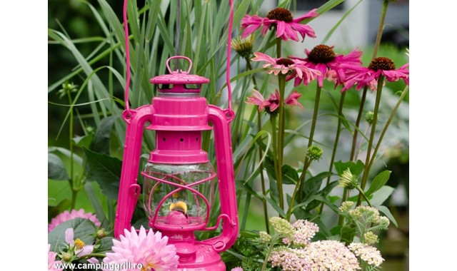 Feuerhand Lantern Magenta