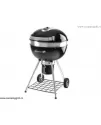 Charcoal grill Napoleon pro22k-leg with cover