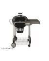 Weber Grill Performer GBS 57