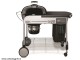 Grill Weber Performer Deluxe GBS Gourmet