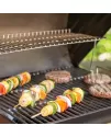 Char-Griller Wrangler charcoal grill