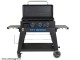 Griddle grill Pit Boss with 3 gas burners