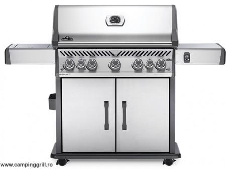 Grill ROGUE Special Edition SE625