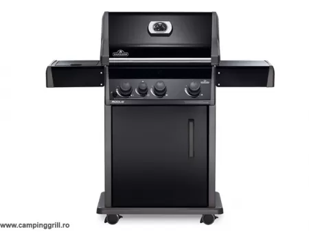 Gas grill with side burner Rogue R425SB
