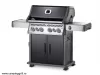 Special Edition ROGUE grill SE525RSIB