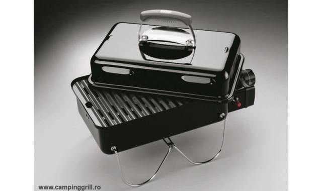 Gas picnic grill Go-Anywhere