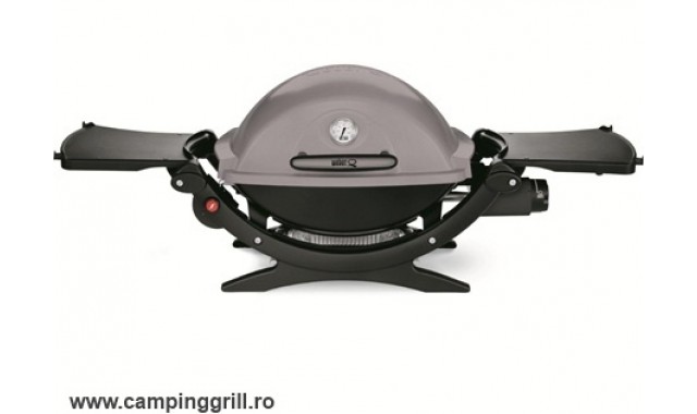 Gas grill Weber Q1200