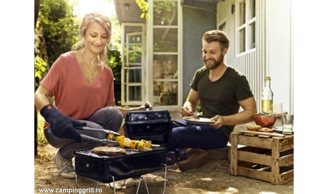 Gas picnic grill Go-Anywhere