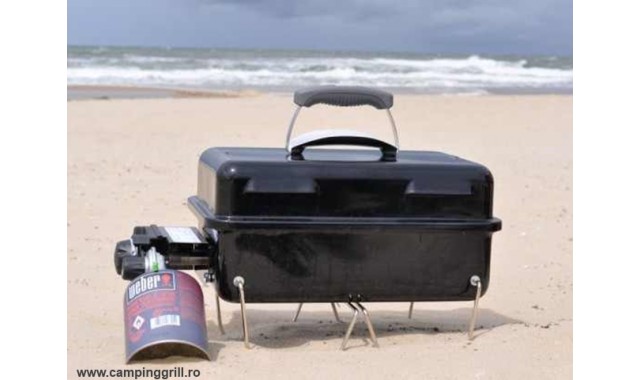 Gas picnic grill Go-Anywhere