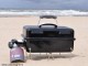 Gas picnic grill Go-Anywhere