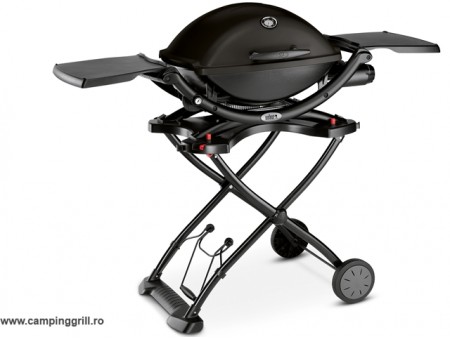 Gas grill Weber Q1200 Stand
