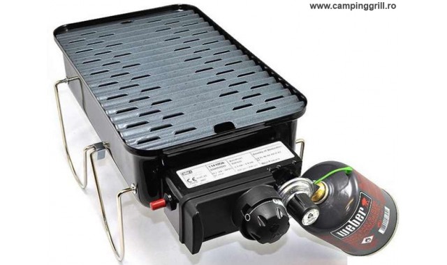 Gas picnic grill Go-Anywhere