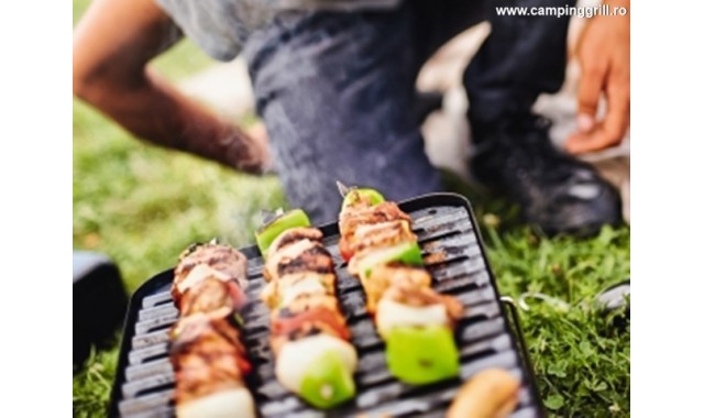 Gas picnic grill Go-Anywhere