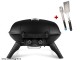 Gasgrill Napoleon TravelQ 285 with grilling tools