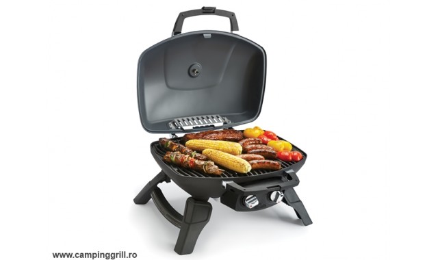 Portable Gasgrill Napoleon TravelQ 285