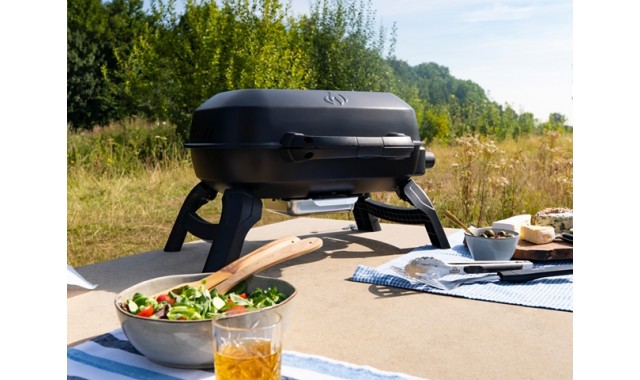 Portable gas grill Napoleon TQ240