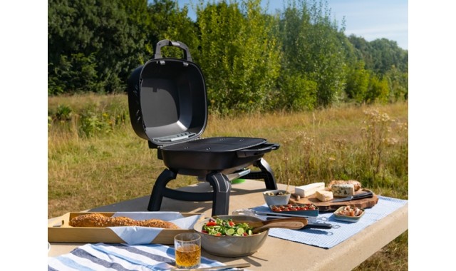 Portable gas grill Napoleon TQ240