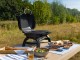 Portable gas grill Napoleon TQ240