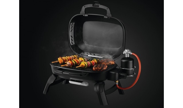 Portable gas grill Napoleon TQ240