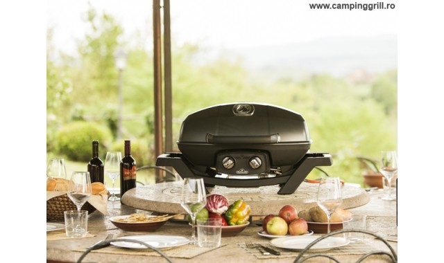 Gas grill TravelQ PRO285