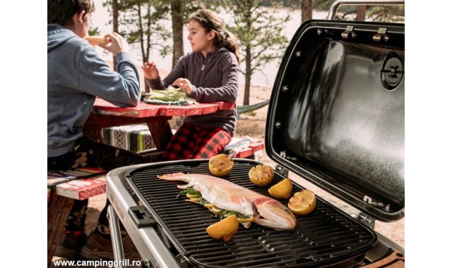 Portable grill Weber Traveler