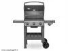 Grill Weber Spirit II E-320 GBS with cover