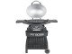 Gas grill Pit Boss Sportsman 2 with stand